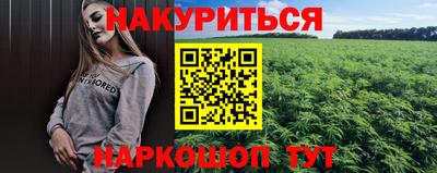 кокс Кингисепп