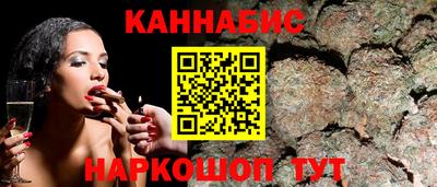кокс Кингисепп
