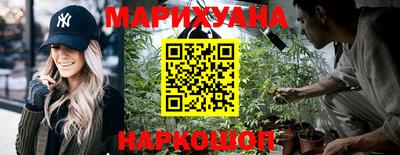 кокс Кингисепп