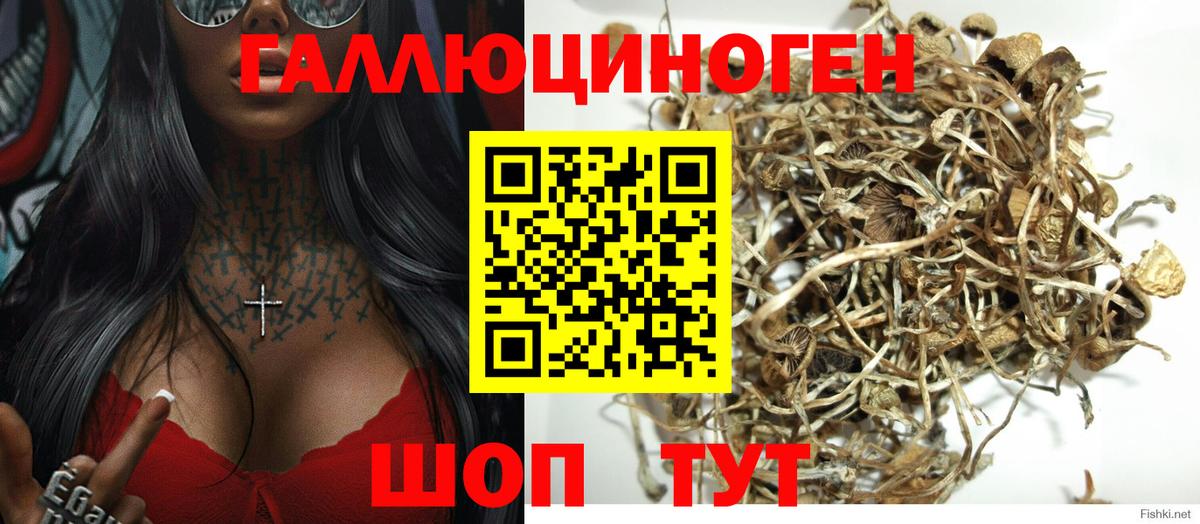 Галлюциногенные грибы Magic Shrooms Учалы