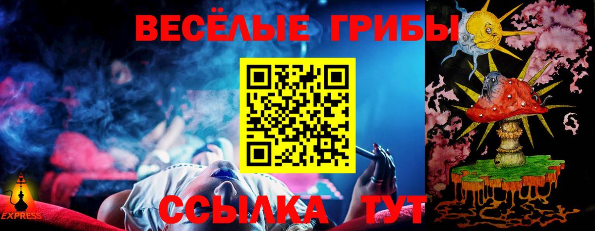 Галлюциногенные грибы Psilocybe  Вход с VPN  Учалы 